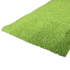 Always Green Lawn Pre-Cut Green Turf