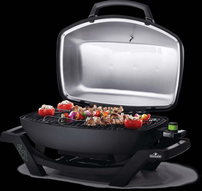 Napoleon TRAVELQ™ PRO285E