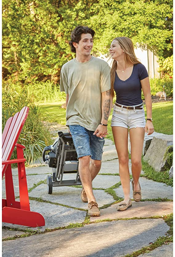 Napoleon TRAVELQ™ PRO285X