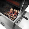Napoleon Professional SS Grill